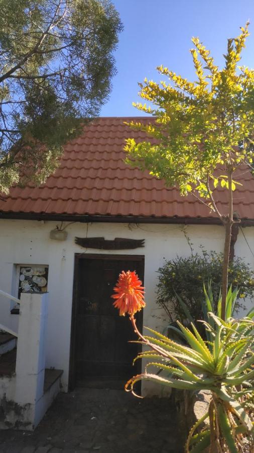 Atlantic Pearl Guest House Midrand Εξωτερικό φωτογραφία